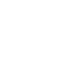 In the Box